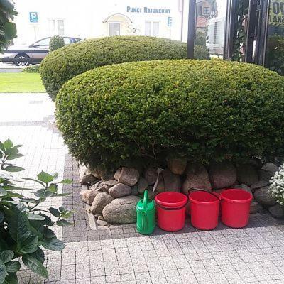 Pokoje Goscinne Zawisza Leba Exterior foto